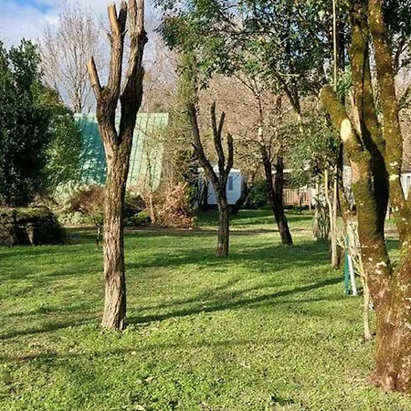 Camping Mobil-home Cosy 4 Pers Avec Terrasse - Api-1-52-750 *