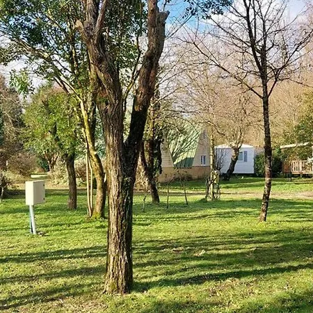 Mobil-home Cosy 4 Pers Avec Terrasse - Api-1-52-750 Camping *